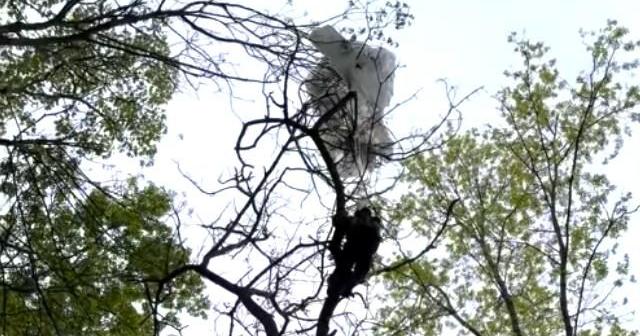 Skydiver Rescued First responders rescue stranded skydiver | News | cbs19news.com