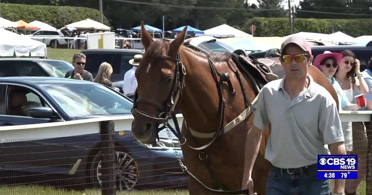 Fox Field Good turnout at Foxfield's annual Spring Races | News | cbs19news.com