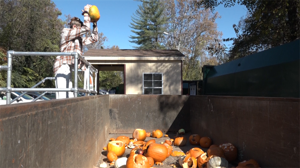 Annual Pumpkin Smash Event to Return to McIntire Recycling