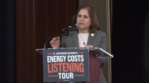Virginia Lt. Governor Opposes Major Energy Merger; Dominion Energy Responds