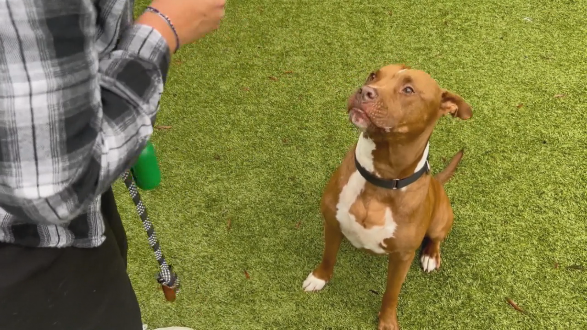 CASPCA receives money to replace boiler