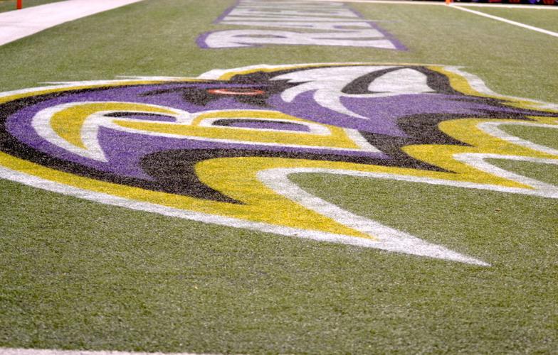 Ravens will switch to natural grass at M&T Bank Stadium, Professional