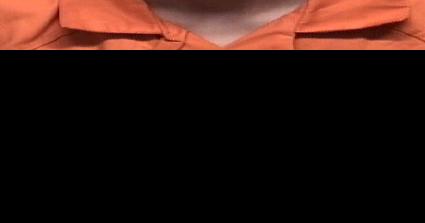 Police nab suspect in Cecil County catalytic converter thefts - Vimarsana News