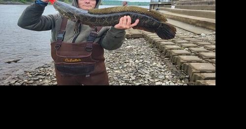 AgriCulture: Fishing season is on, Cecil County Master Gardeners, CC School of Tech greenhouse opens - Vimarsana News