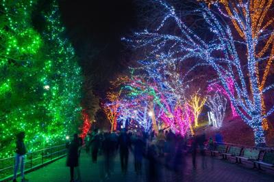ZooLights returns to the Smithsonian