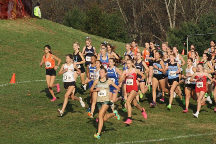 Bo Manor boys take third place in 1A; Cecil County runners medal at ...