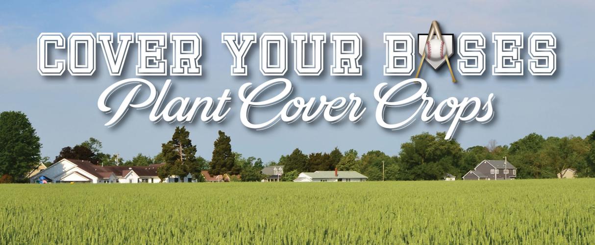 New Cover Crop sign up season starts July 1