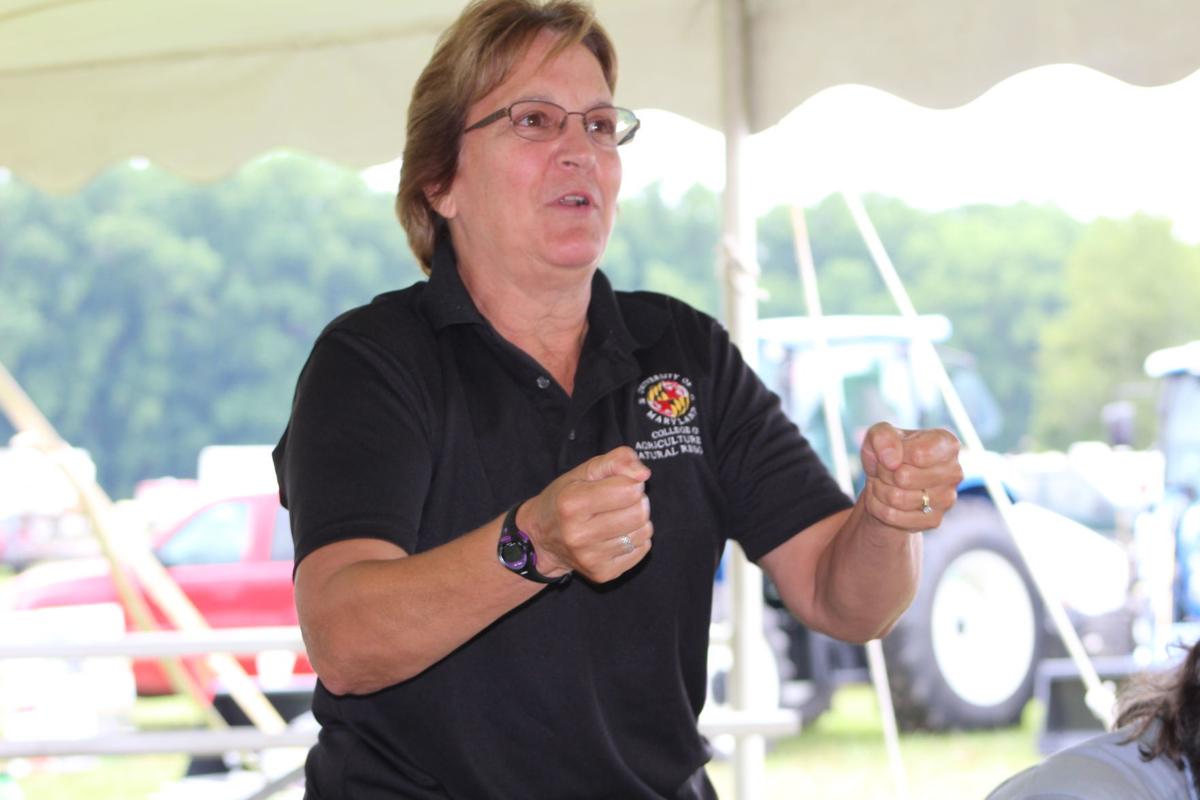 2019 Ag Showcase