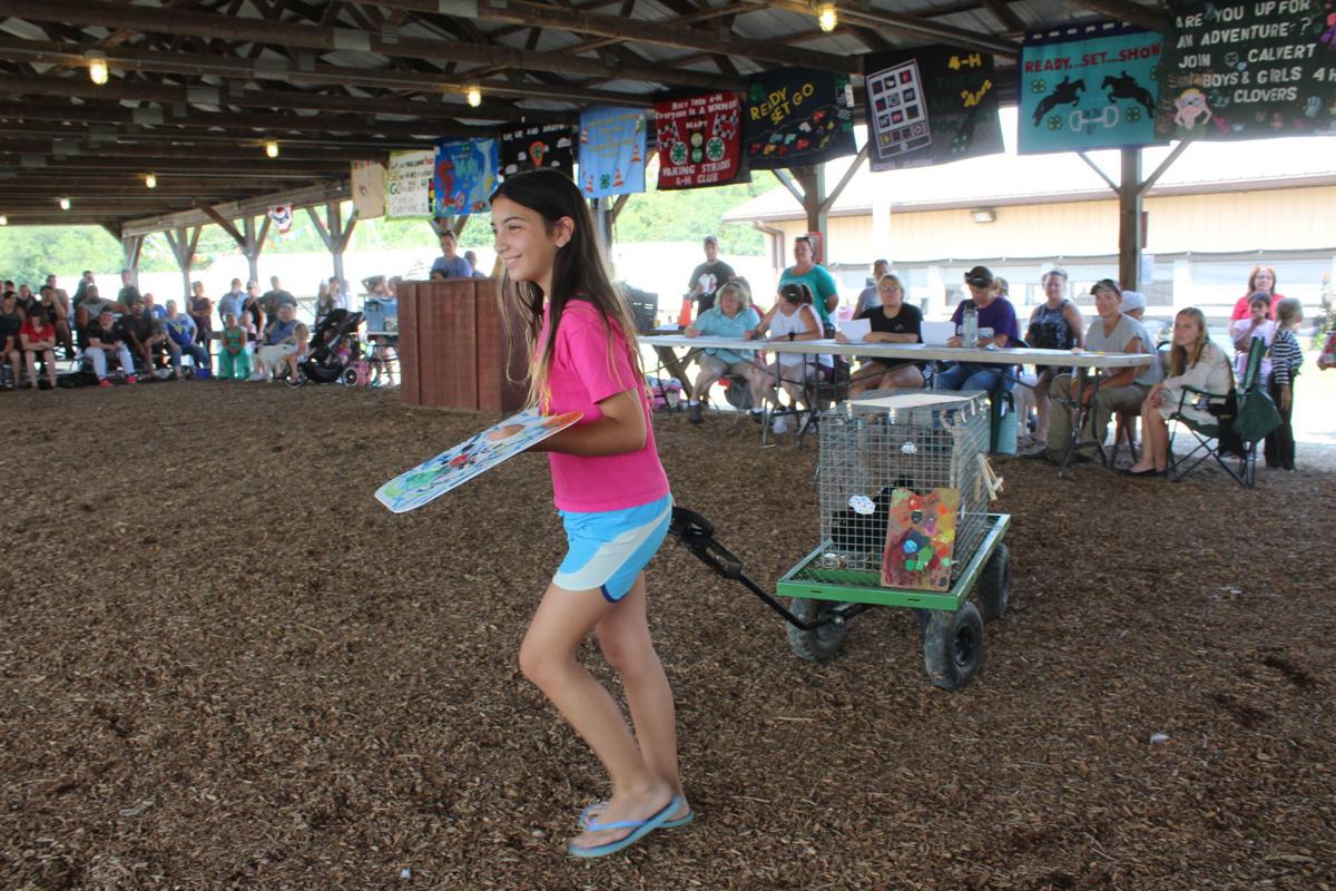 Cecil Fair Pretty Animal Contest
