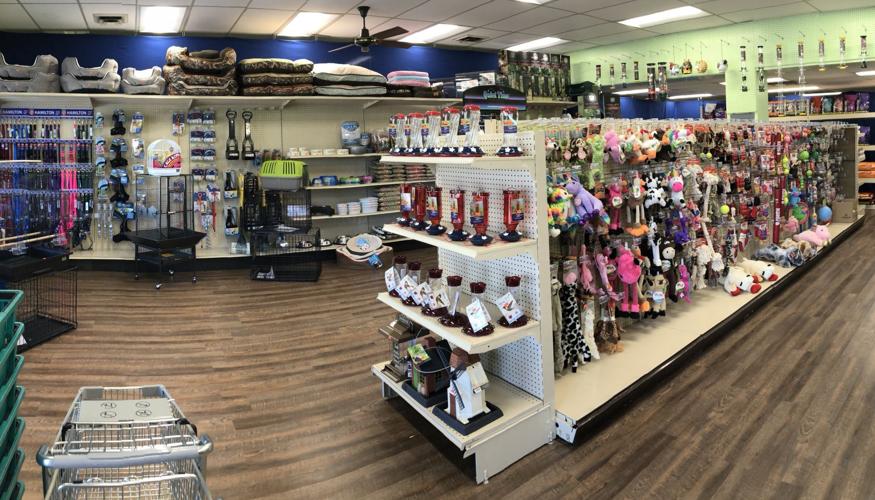 Biz Beat Timpson Training helps future electricians, Chesapeake Water