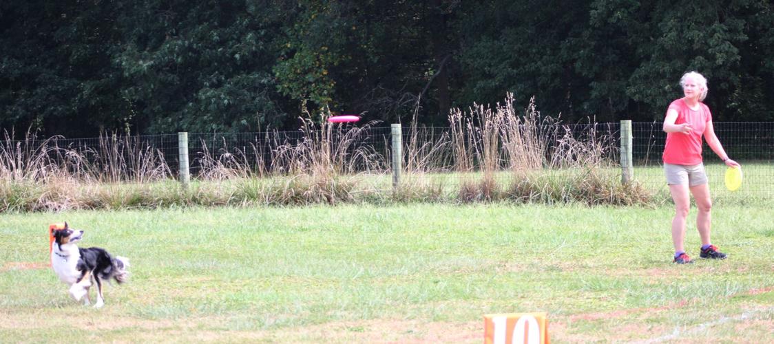 Competition was fast and 'fur'ious at Elkton Disc Dog Club News