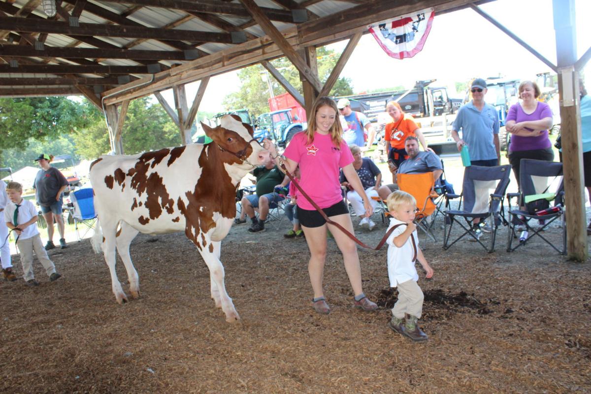 Fitting & Showing alows 4-H to shine
