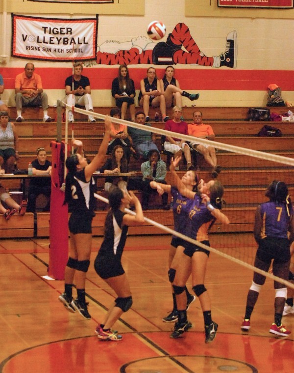 Rising Sun vs. Elkton volleyball Sports Gallery