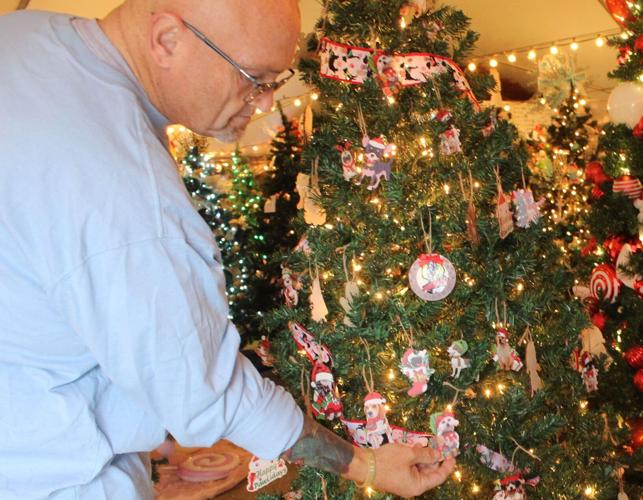 CASA Festival of Trees pines for visitors News cecildaily com