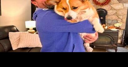Fair Hill family and its 'star' pet dog featured on television show - Vimarsana News