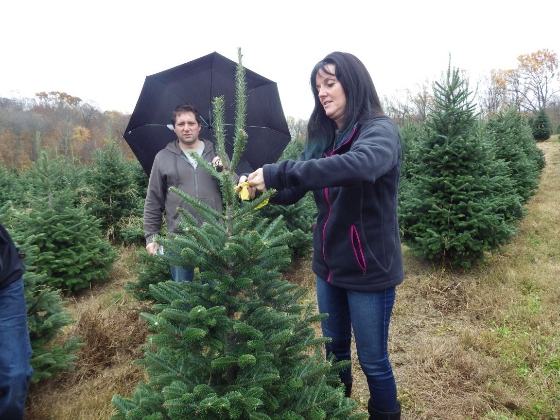 Christmas officially begins at Pine Valley Tree Farm | Local News ...