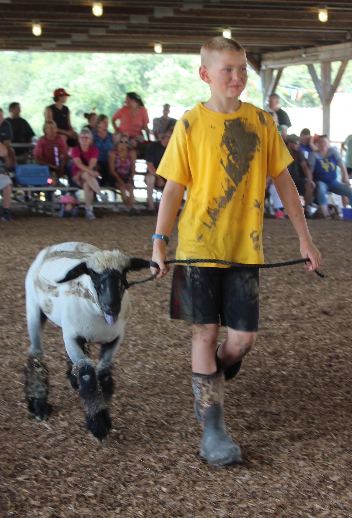 Cecil Fair Pretty Animal Contest