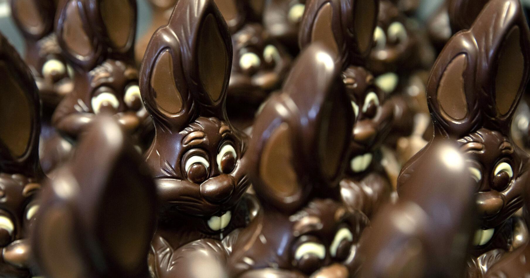 Rich cocoa prices hitting shoppers with bitter chocolate costs as Easter approaches - Vimarsana News
