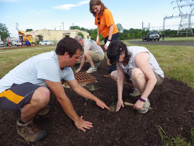 Watershed Stewards install bioswale at Lower Ferry Park | Local News ...