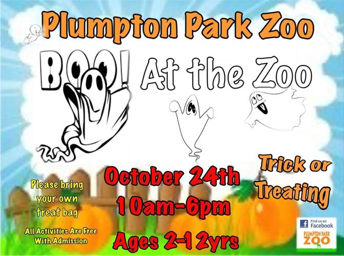 Halloween is NOT canceled by COVID | Features | cecildaily.com