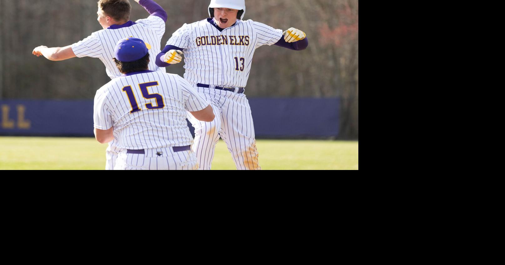 The top photographs from the spring baseball season | | cecildaily.com
