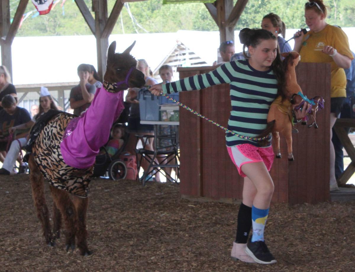 Cecil Fair Pretty Animal Contest