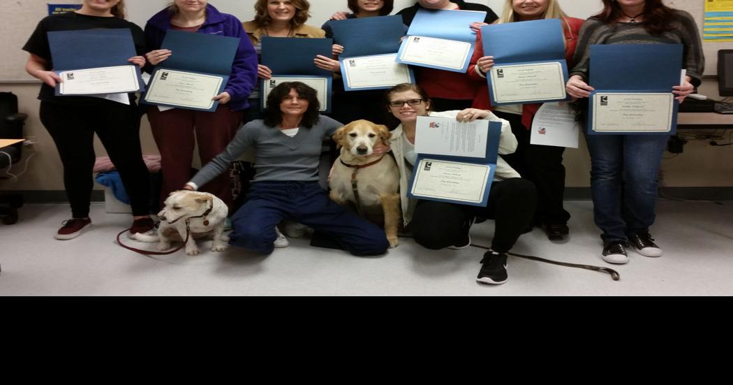 College awards dog grooming certifications Local News