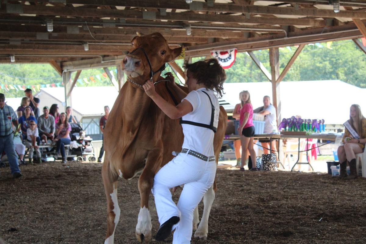 Fitting & Showing alows 4-H to shine