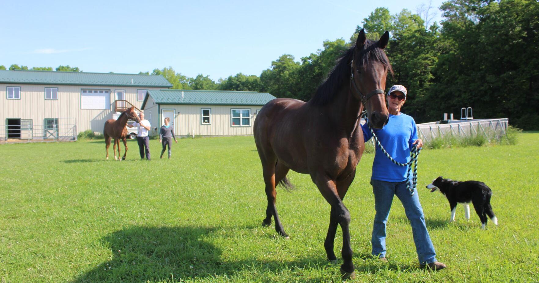 AgriCulture: After The Races gets national attention, Family Day on the Farm, St. Mary Anne's Garden Market May 3-4 - Vimarsana News