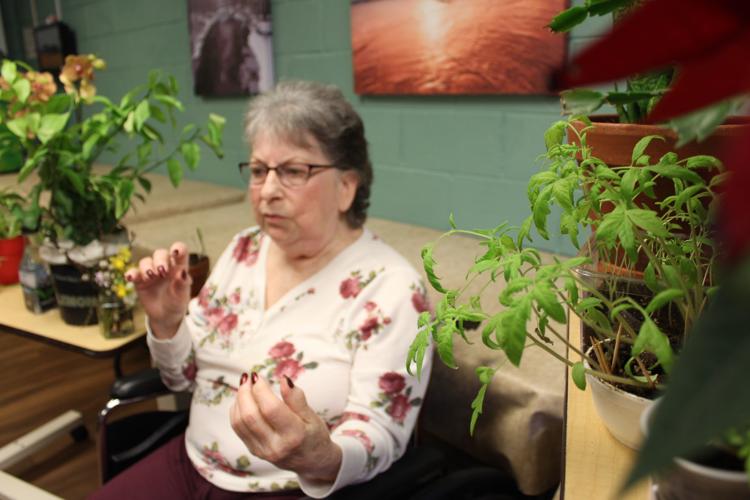 Gardening prowess makes Calvert senior popular Local News