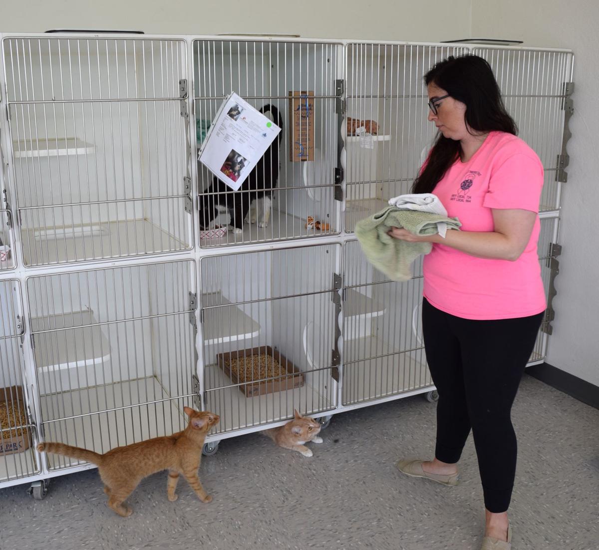 A look inside Cecil County Animal Services Spotlight