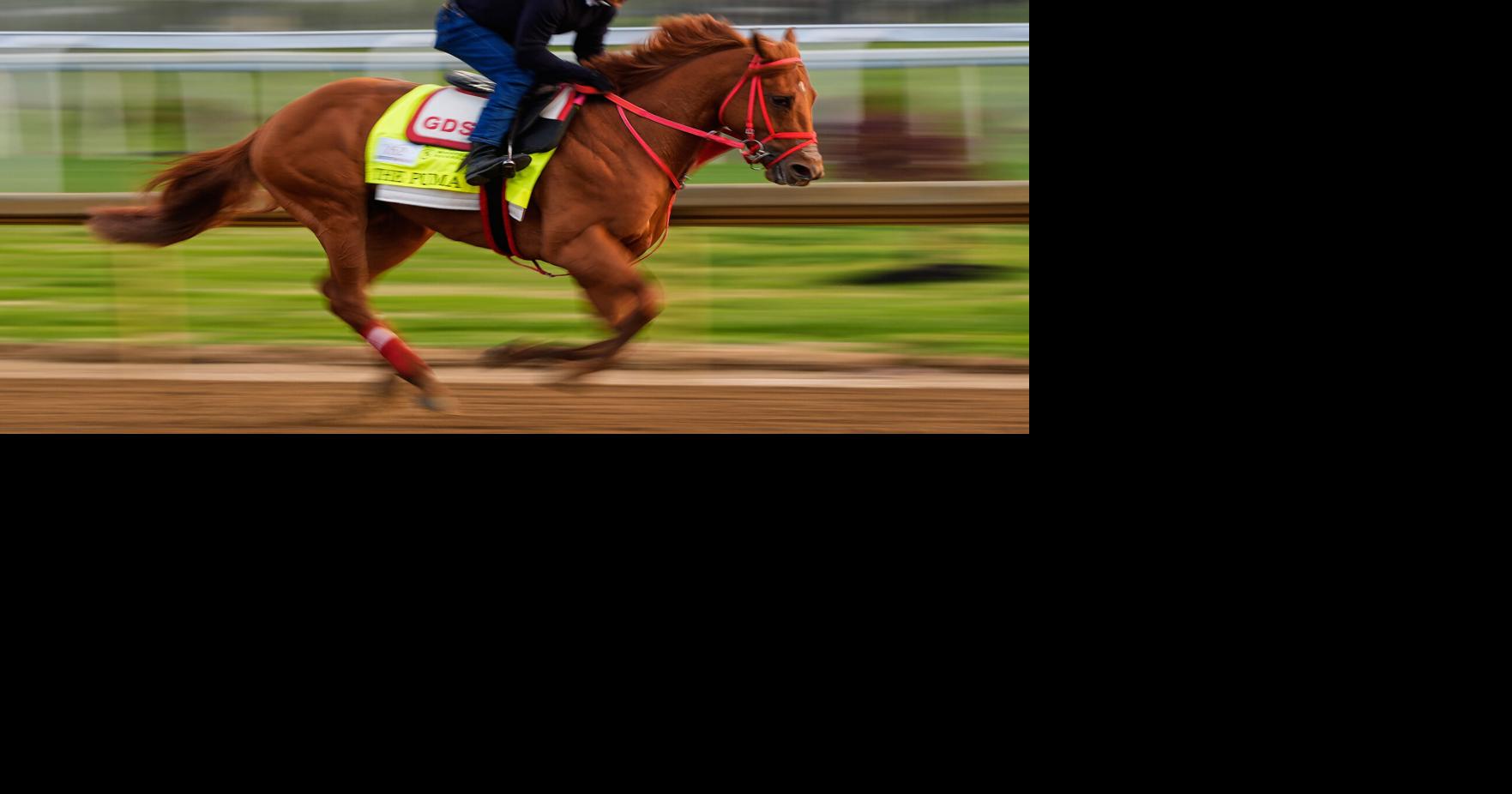 Kentucky Derby is down to 19 horses after The Puma gets scratched