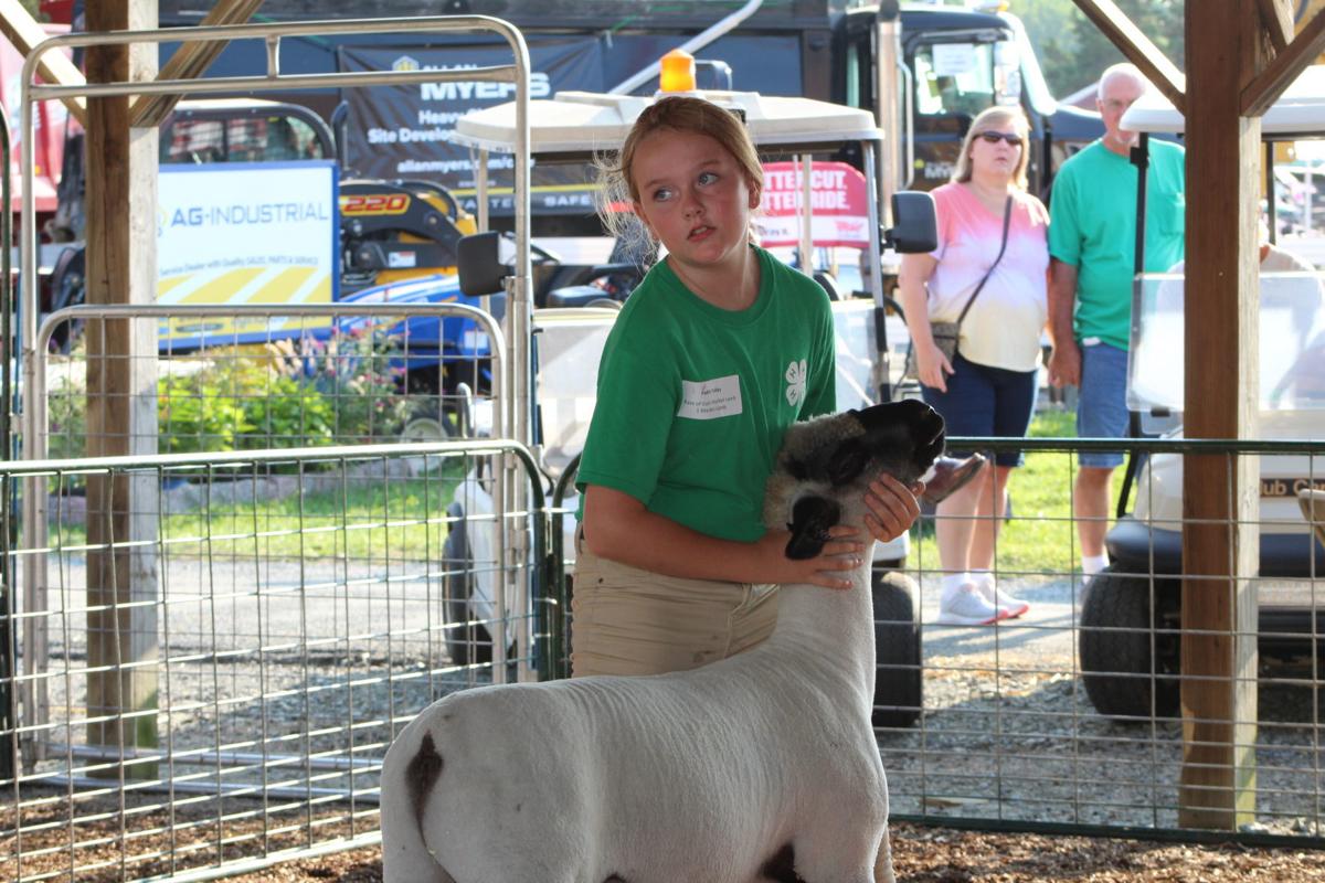 Cecil County Fair Livestock Auction