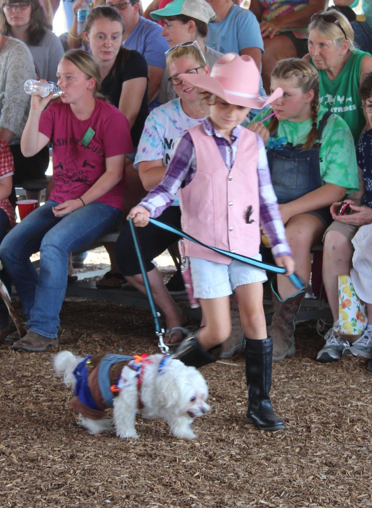 Cecil Fair Pretty Animal Contest