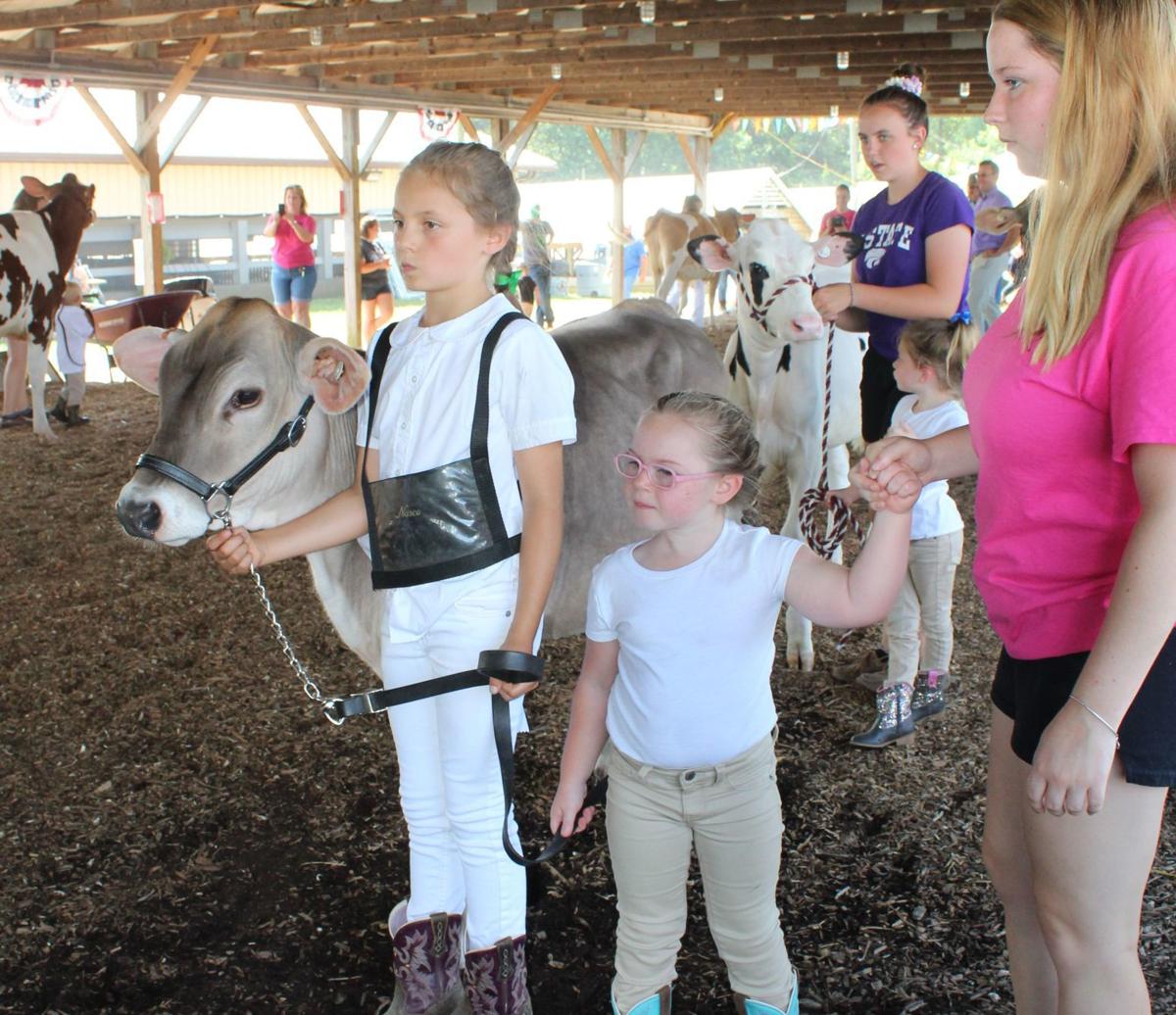 Fitting & Showing alows 4-H to shine