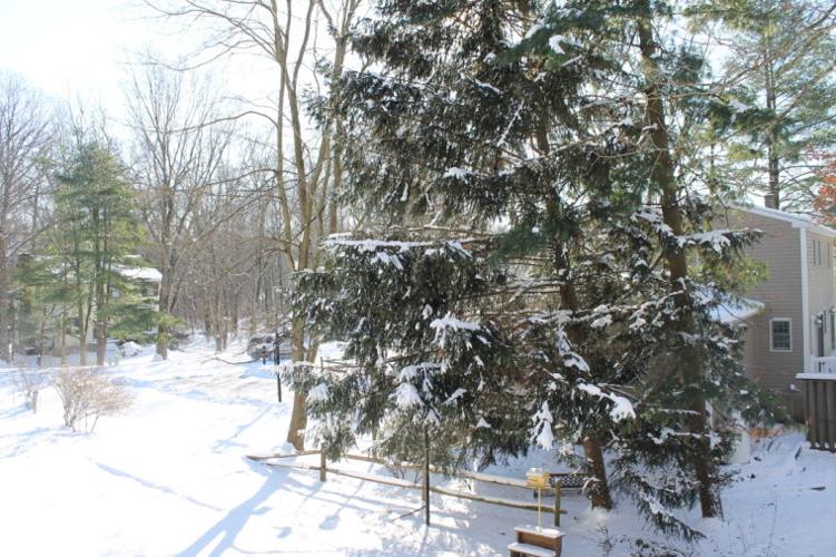 Cecil gets 6+ inches, temperatures dip to teens Local News