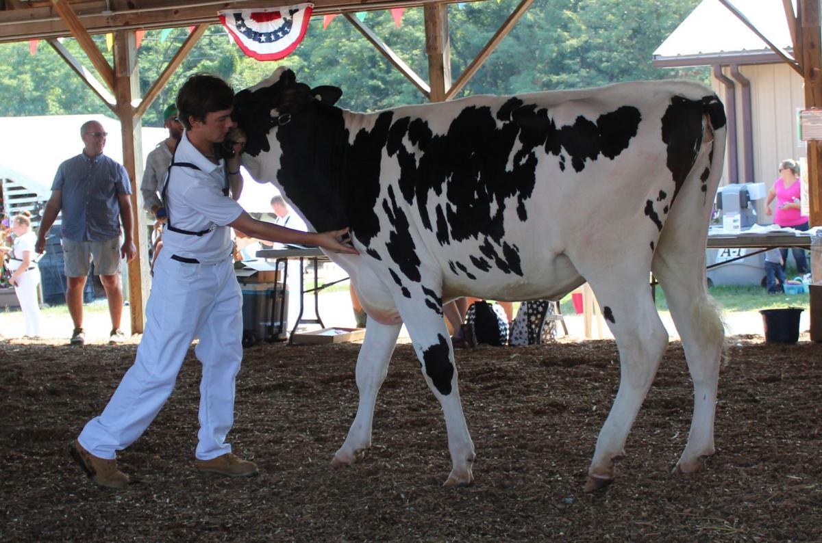 Fitting & Showing alows 4-H to shine