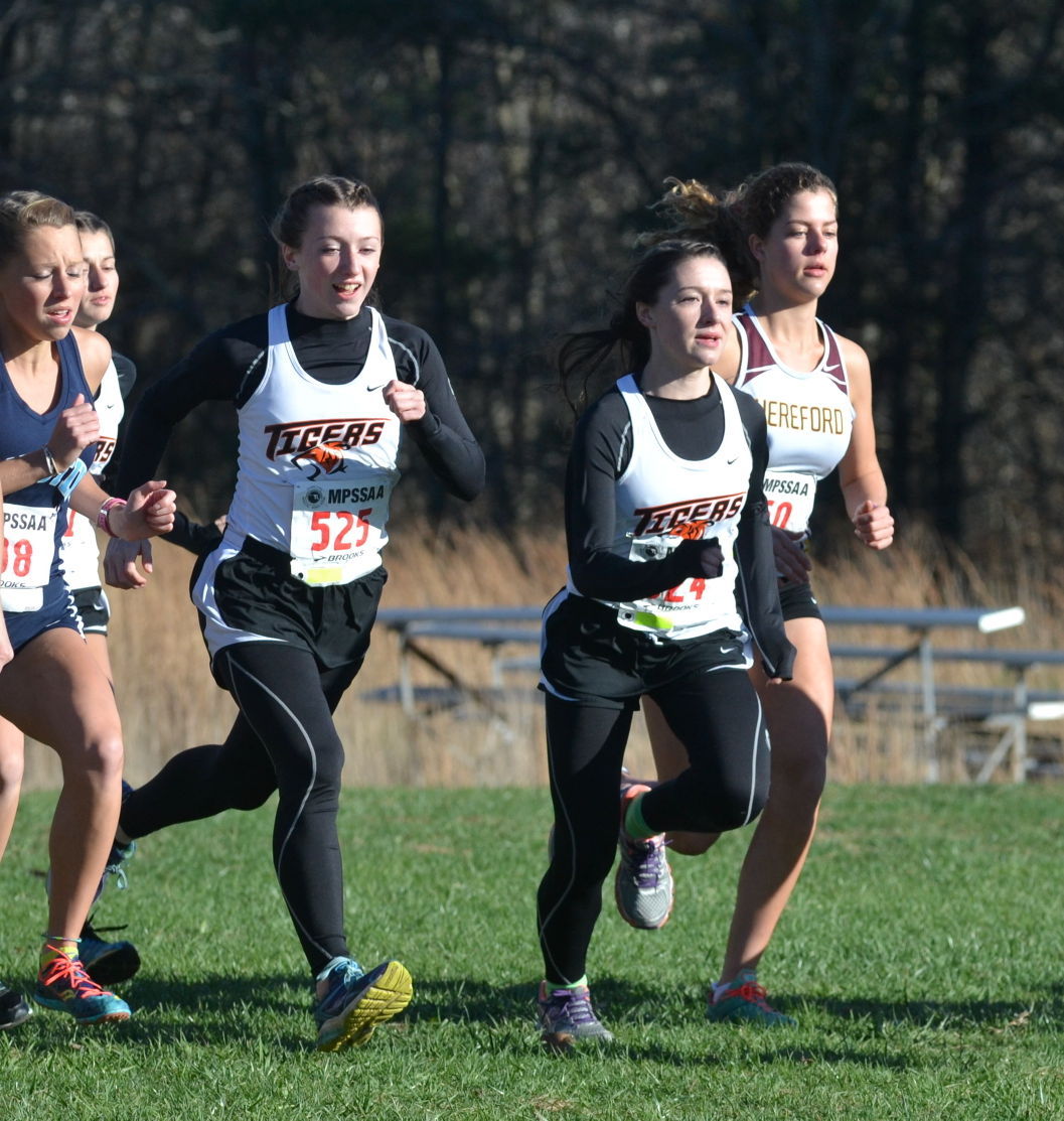State Cross Country Championships Sports Gallery