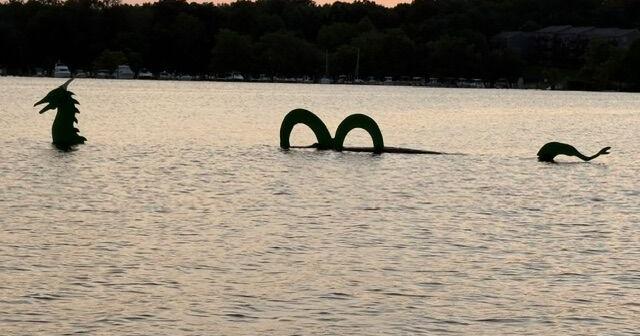 'Chessie Jr.' spotted in the North East River