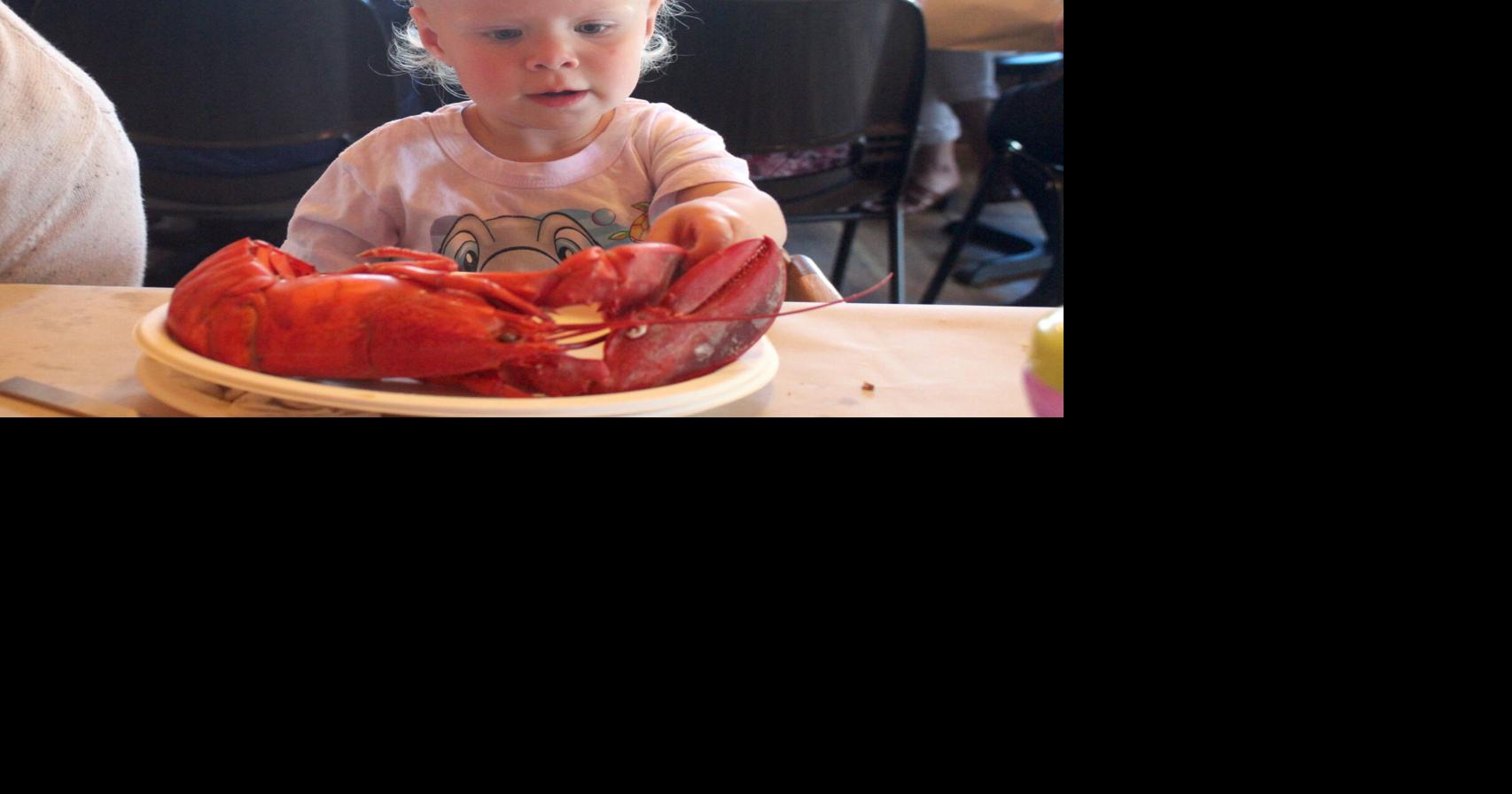 Lobster feast in North East raises $11K for hospice program | News ...
