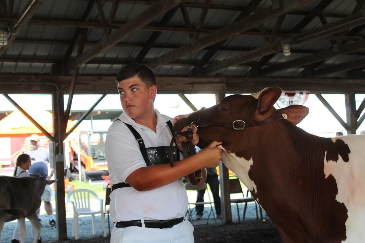 Fitting & Showing alows 4-H to shine