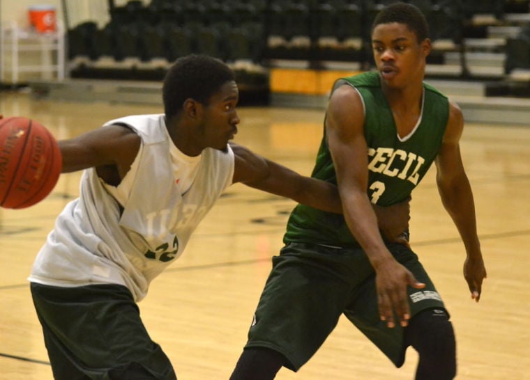 READY TO FLY: Seahawks enter season with lofty goal | Cecil College ...