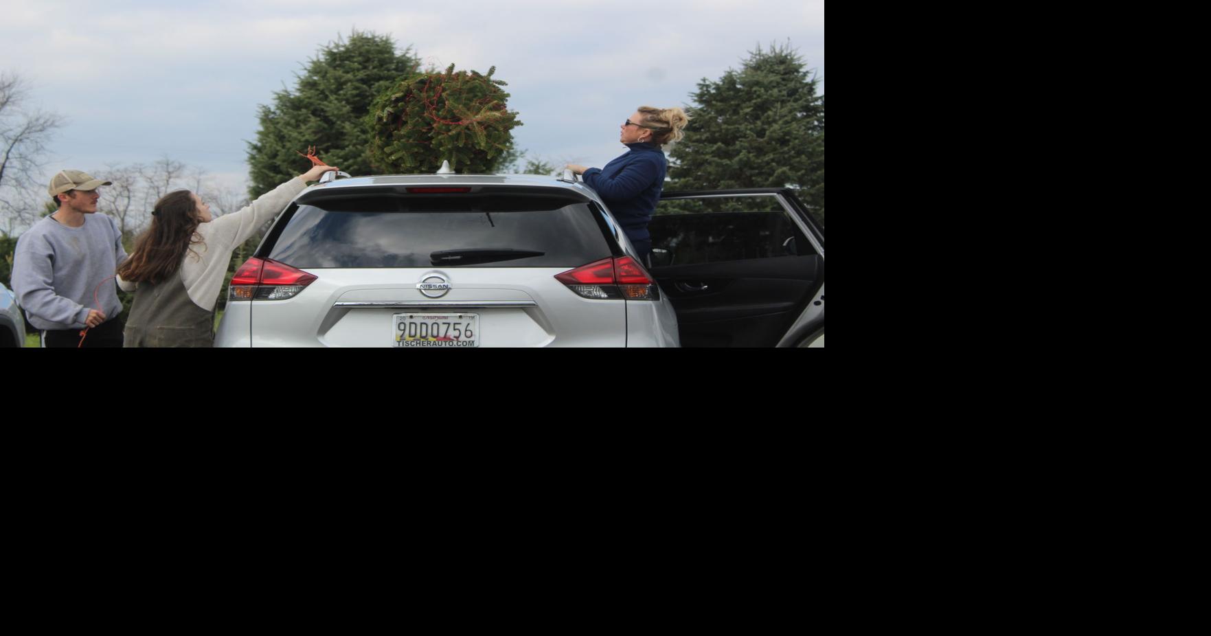 Foxfire Farm offers cut and live trees, wreaths and mounds