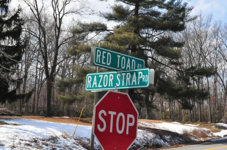 Dispelling the woodshed myths of Razor Strap Road Our Cecil