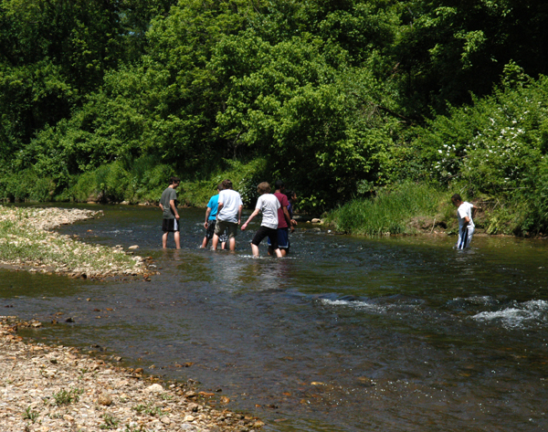 Elkton HS students snorkel, collect data in Big Elk Creek | Local News ...