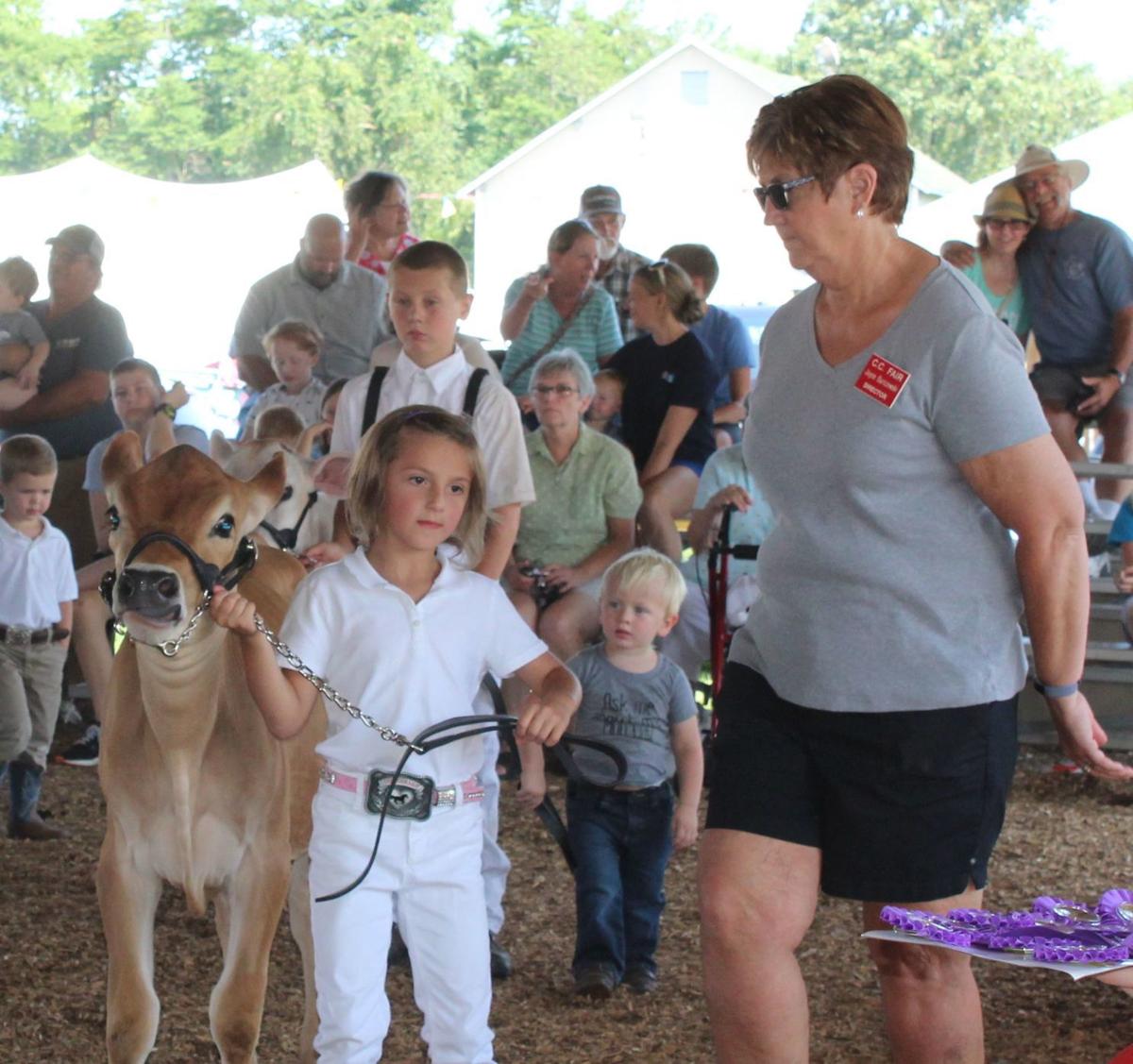 Fitting & Showing alows 4-H to shine