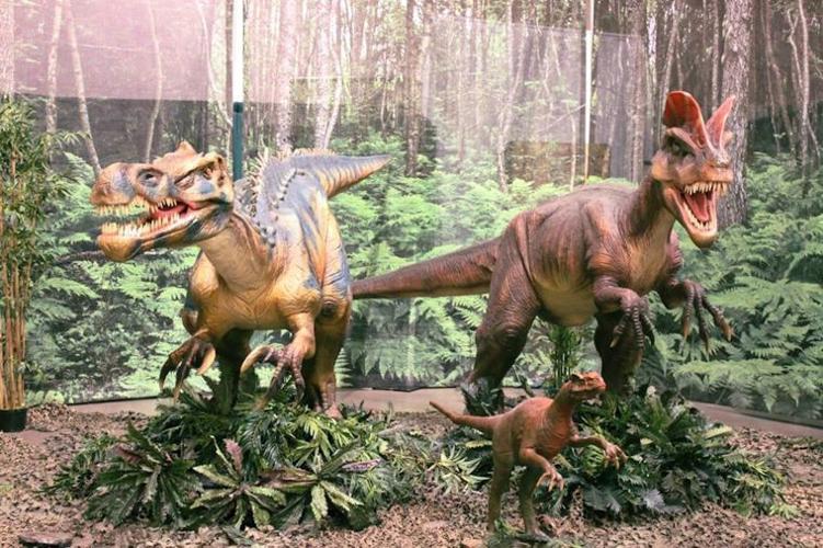 The Google Chrome dinosaur can run for 17 million years – The Irish News
