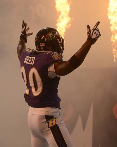 Ravens great Ed Reed to be enshrined in Ring of Honor, Professional
