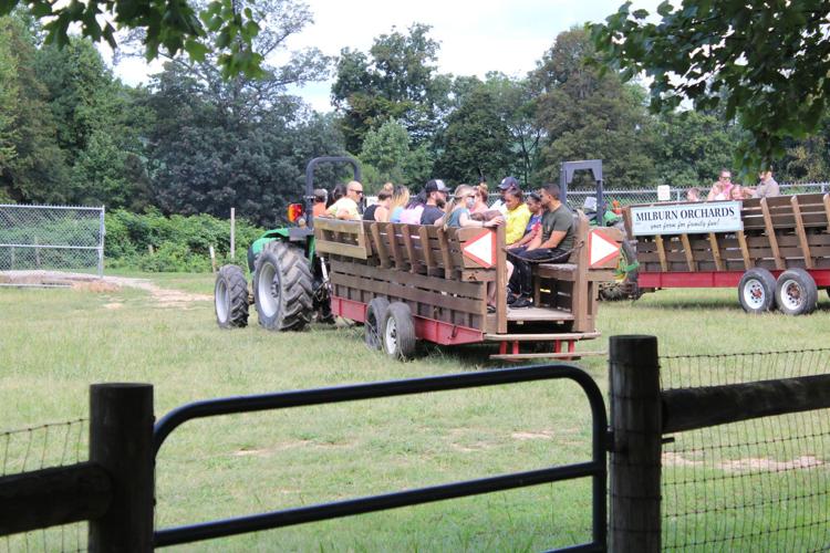 Millburn Orchards ends summer with raspberries, fun and ice cream