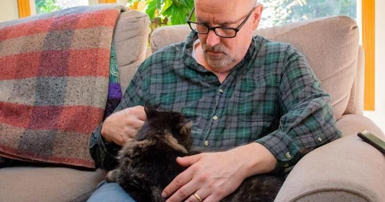 Missing cat returns to owners 12 years after being lost | Regional ...